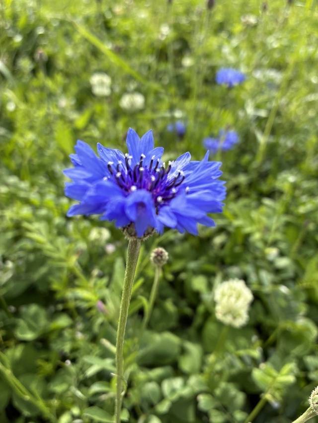 今日います