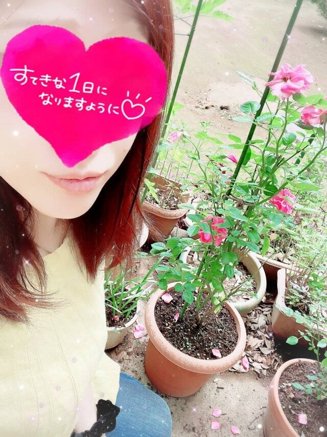 綺麗な花には棘がある★あやの★