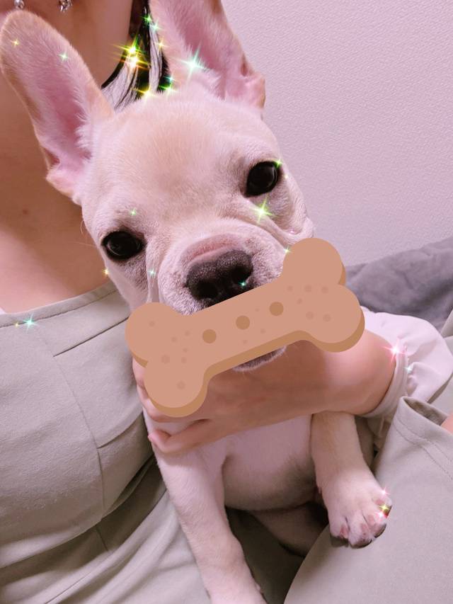 わんこにも目覚めた…( ✧Д✧)