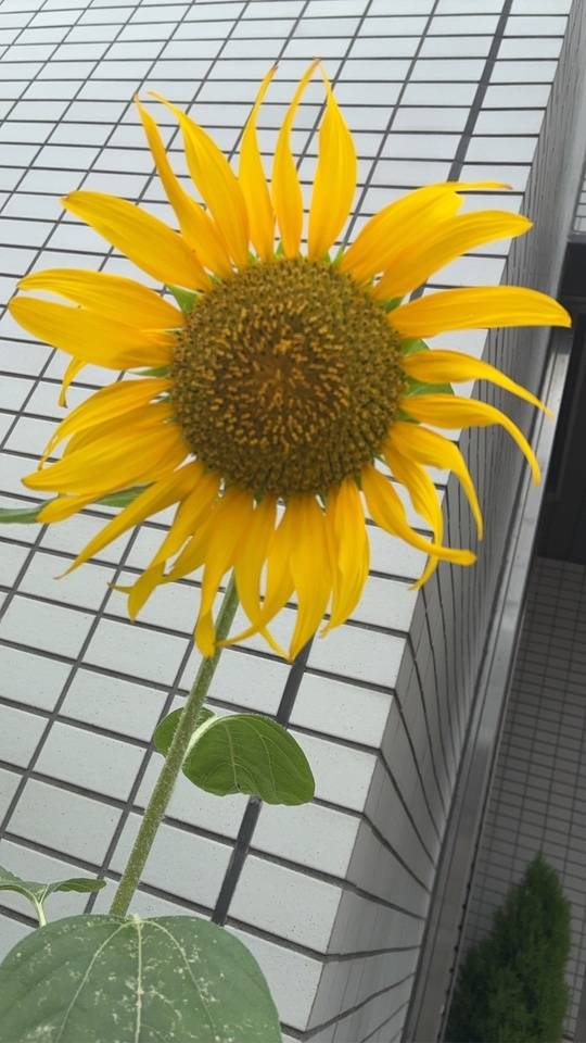 イベントやってるよ😎