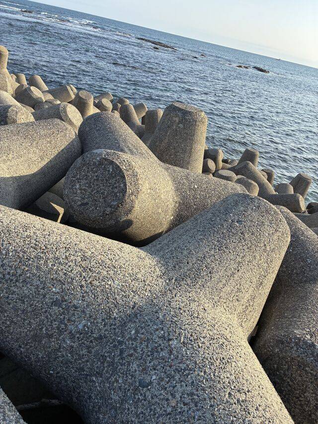お休み頂きます