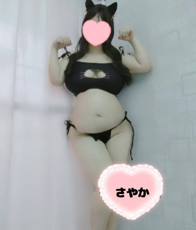 犬もかわいい🐶