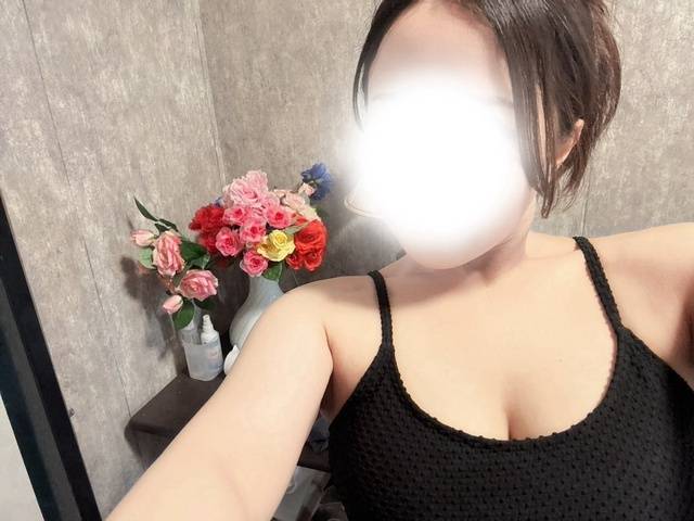 お知らせ🕊️