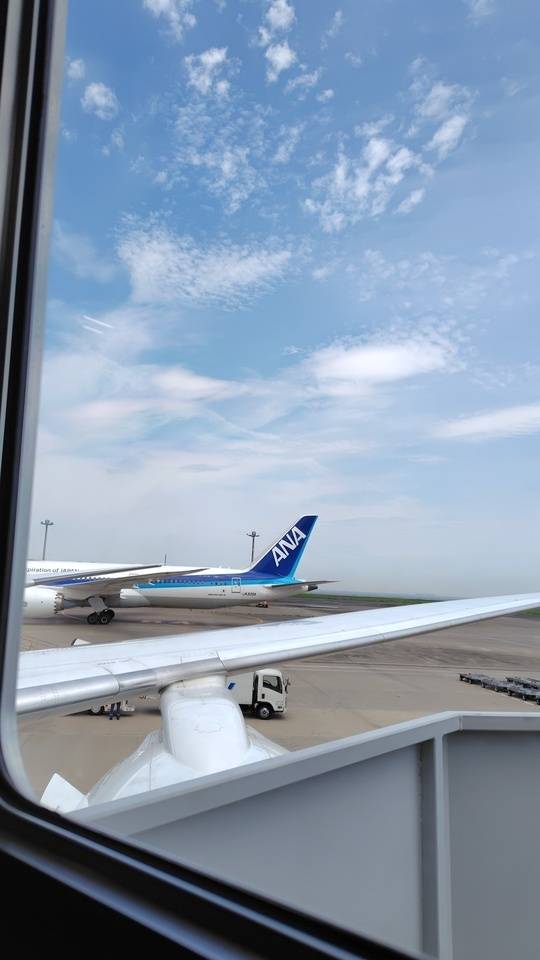 急遽出勤致します✨️