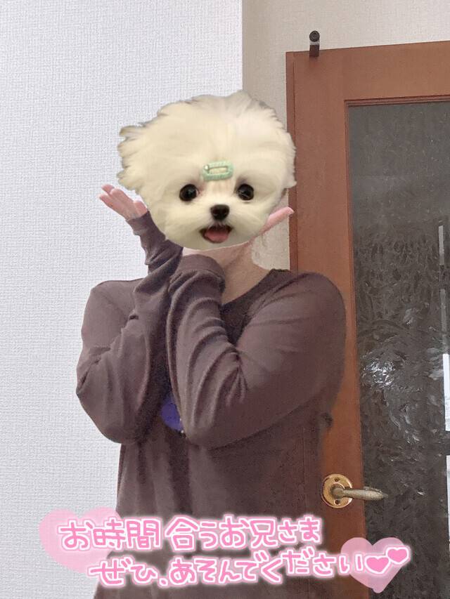 花粉症かなあ