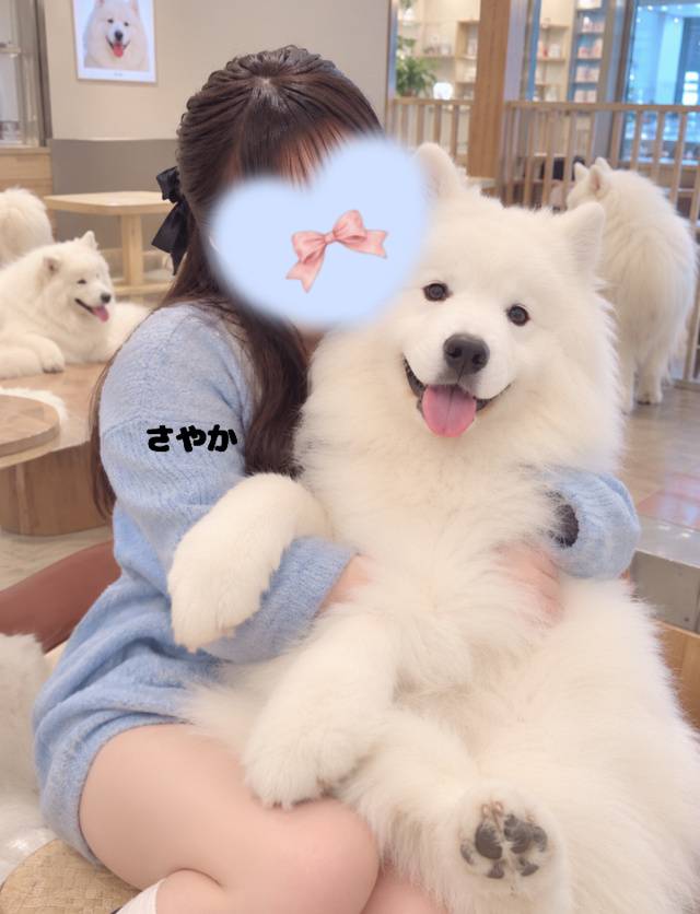 犬も好き🫶🐶かわいい