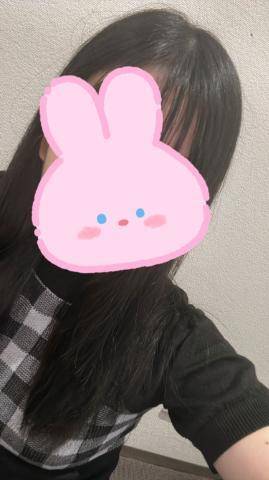 います🐰