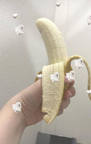 出勤しました🍌