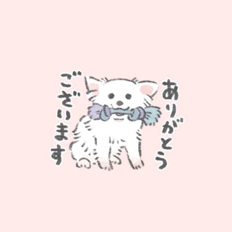 お礼日記 ナポリ N様🐶