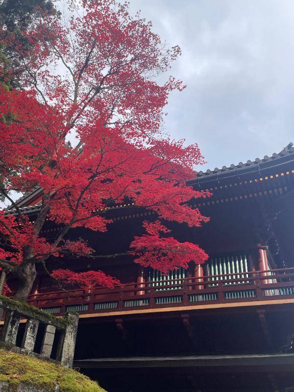 栃木旅行記🍁 最後に㊙️💗写真…