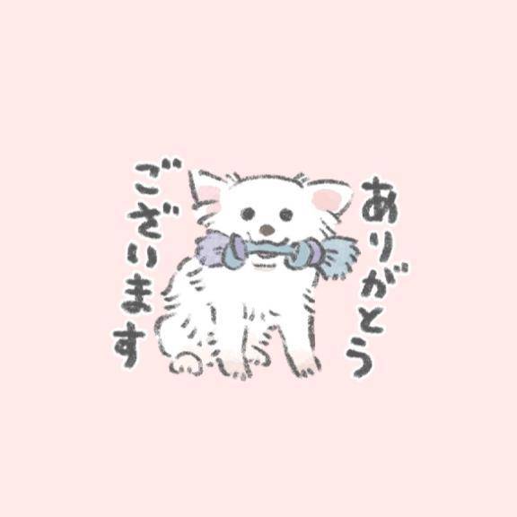 お礼💌 ナポリ O様