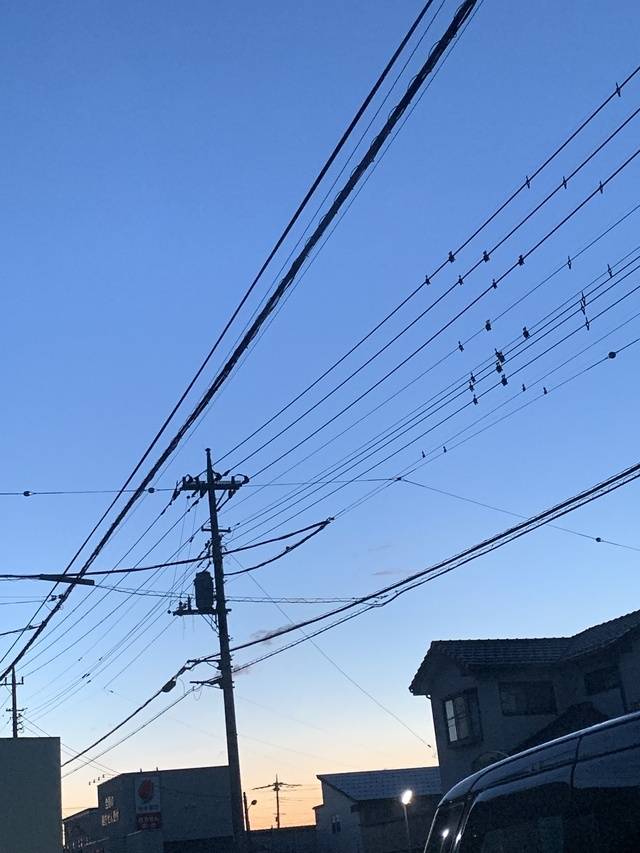 出勤しております☺️