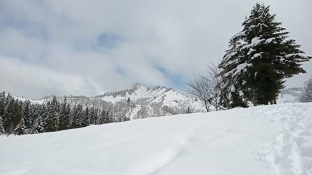 それでも私はキミが好きなんだ