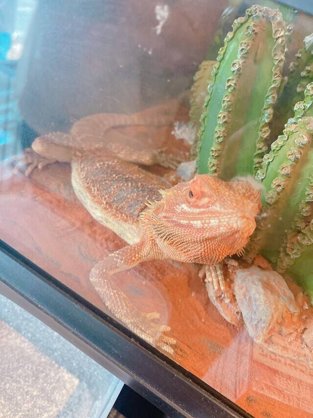 ショッキング😢