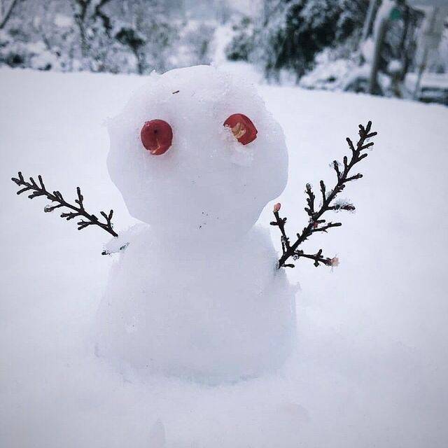 変更のお知らせ❄