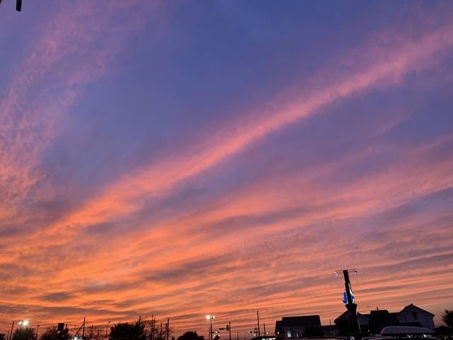 春が近づいてくる…