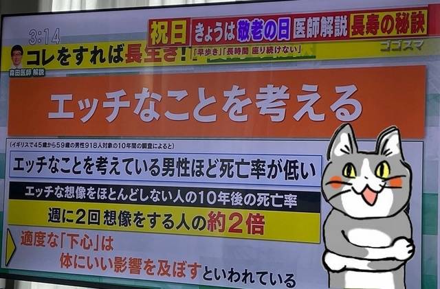 🤎怖くて触れないって？