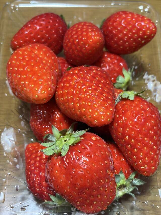 イチゴ大好き🍓🍓🍓