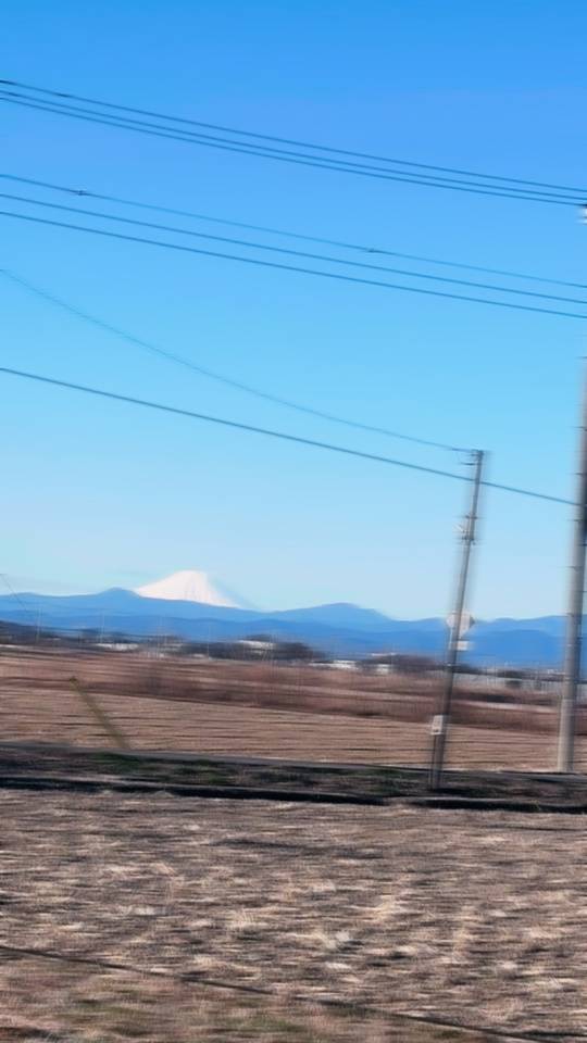 ( "´༥`"  )
