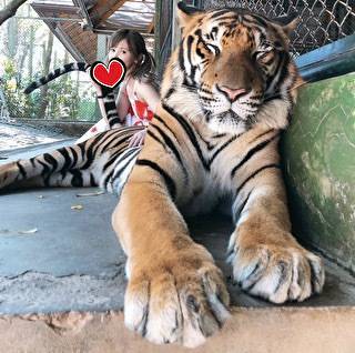 ゆっくりほどける🌸❤️ゆあらの誘い方🌸