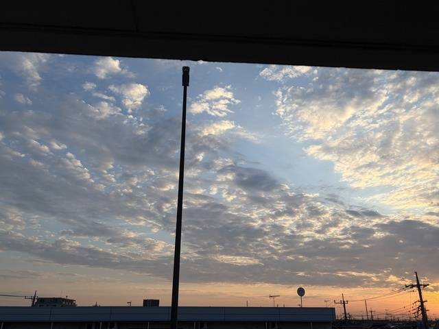 今日も19時から出勤😊