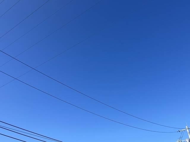 爽やかな朝☀️｡°