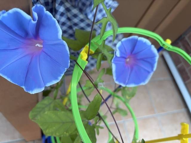 こんにちは💗