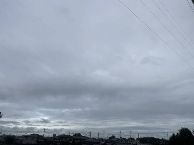 元気いっぱい😆✨