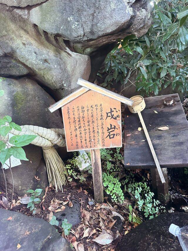 おはよう♡