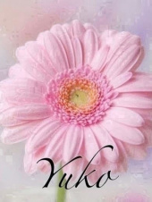 ジュエリーボックス