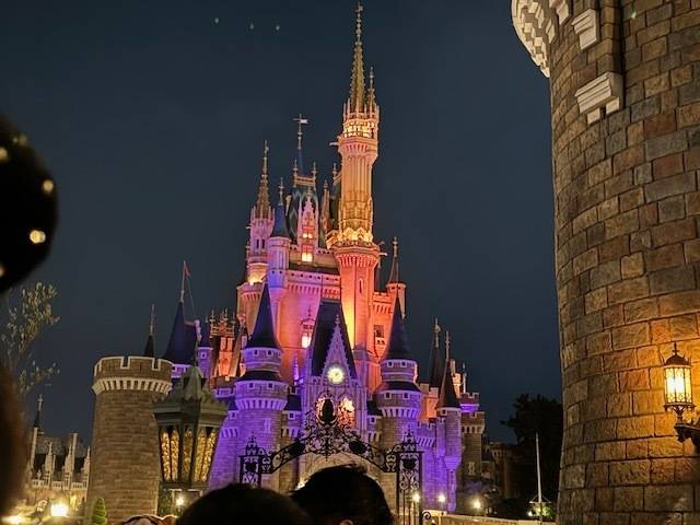 ディズニー🏰