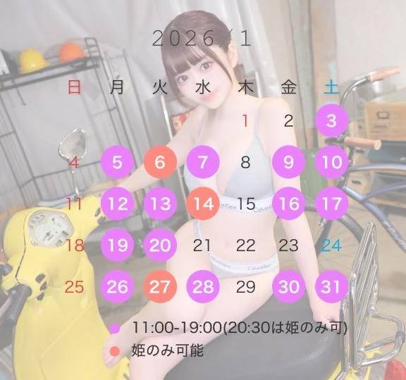 1月の予定(仮)🌟