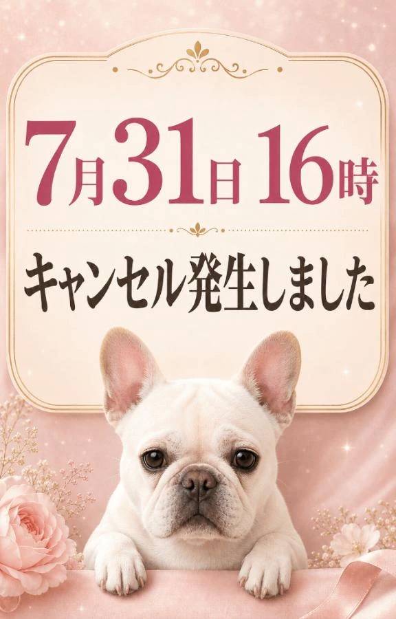 💋💕⚠️31日16時キャンセル発生