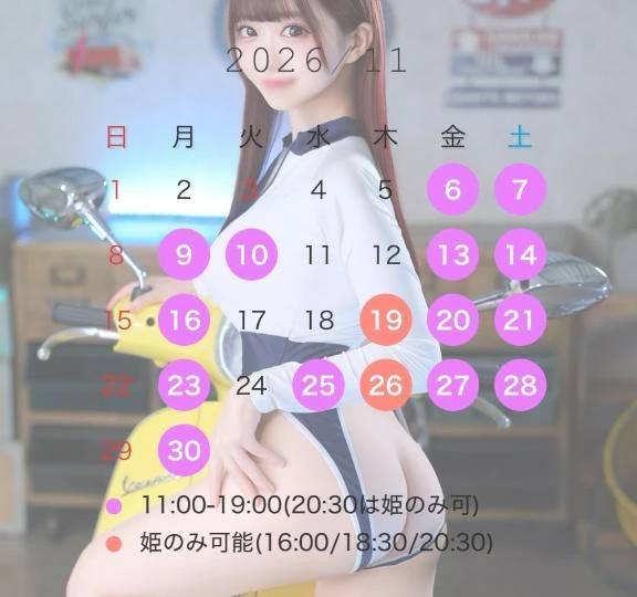 11月の予定🌟