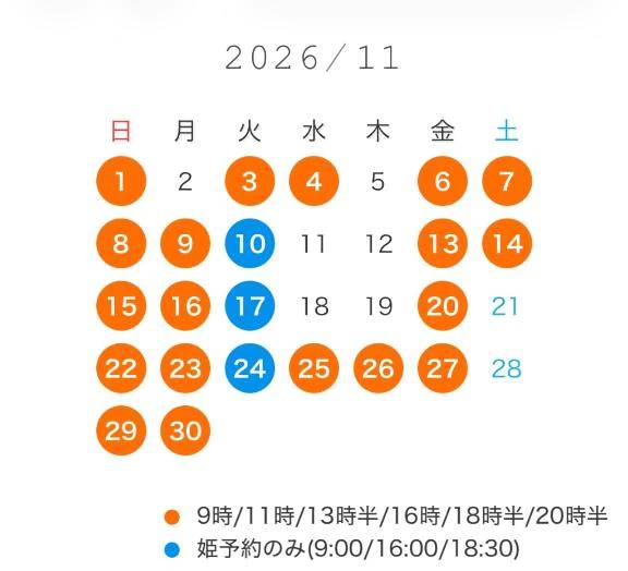 11月の予定🍂🩶