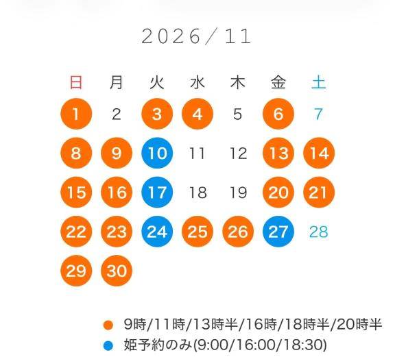 11月の予定🍂🩶