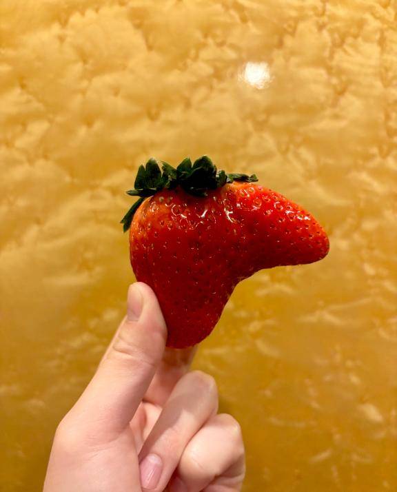 🌸いびつだけど…🌸