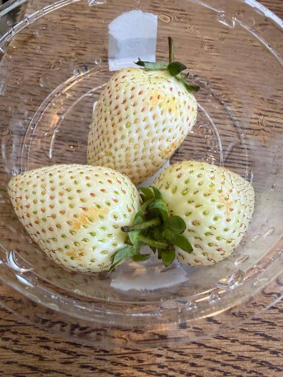 いちご🍓