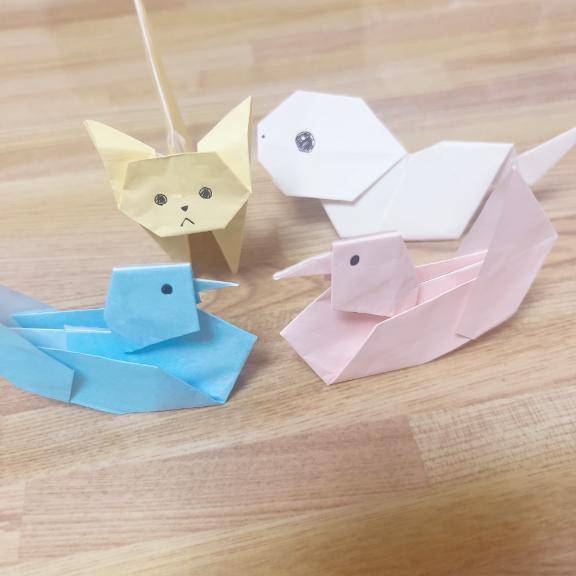 春の楽しみ☺️
