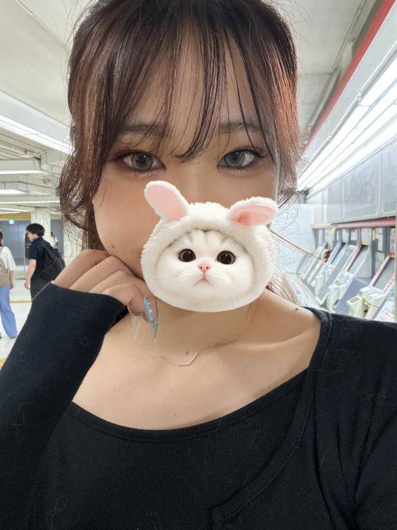どんなことする？
