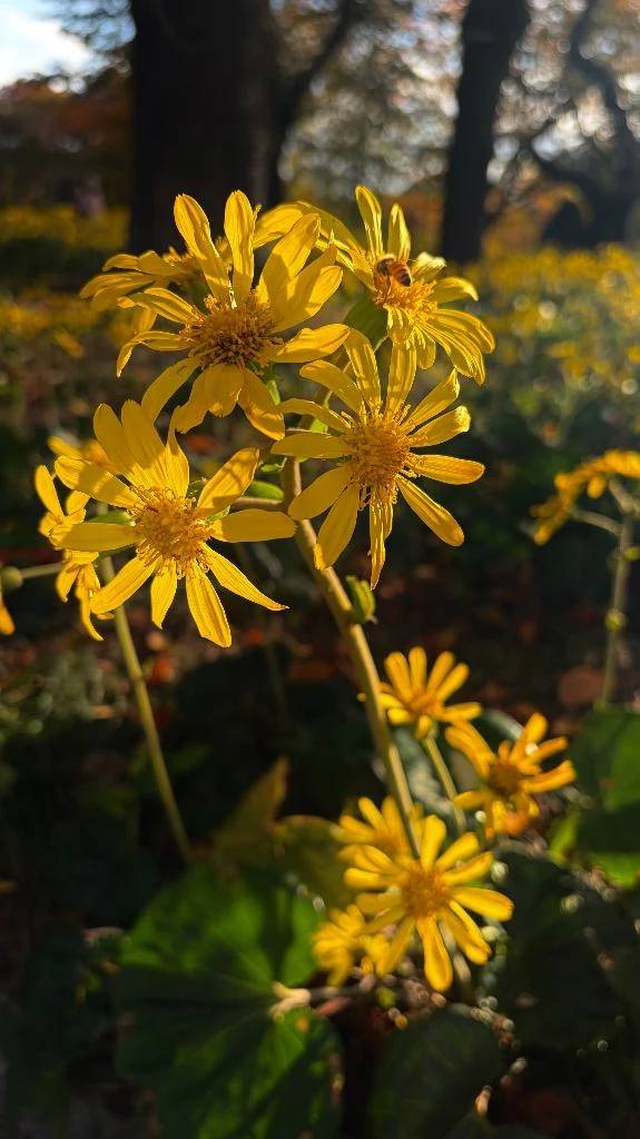 早退すみません…😵‍💫