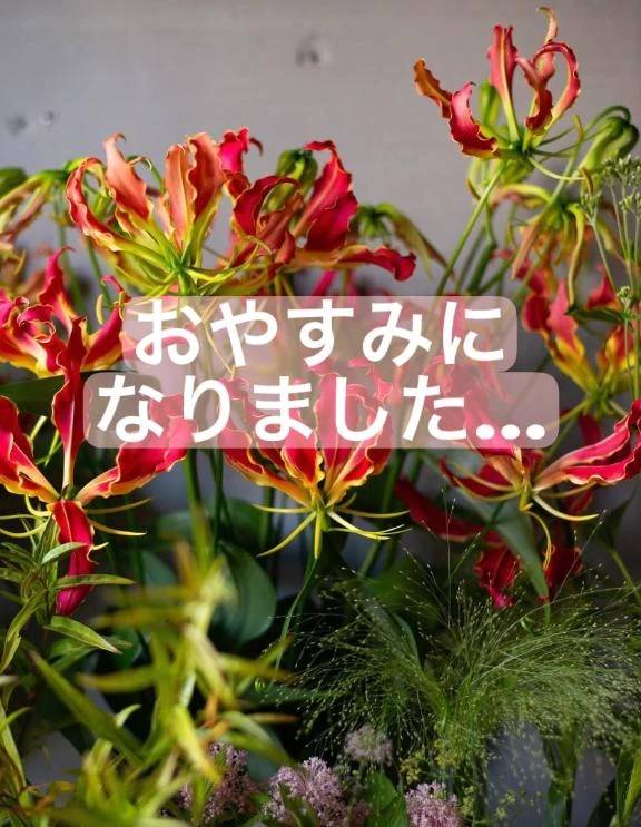 おやすみになりました