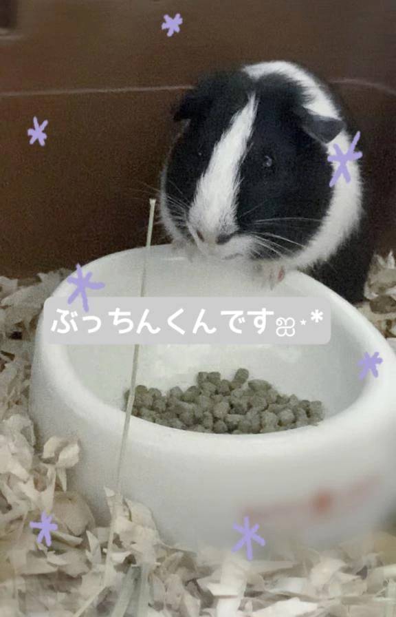 おしらせ‪🥲‎