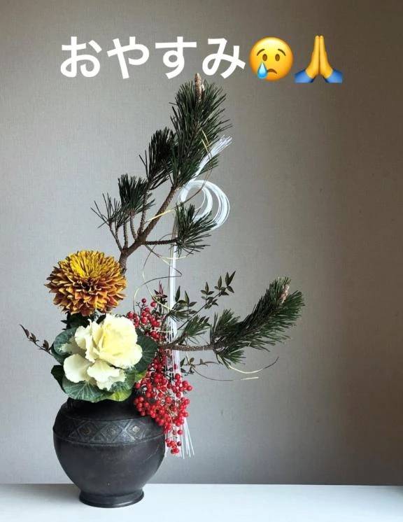 お休みします🥺