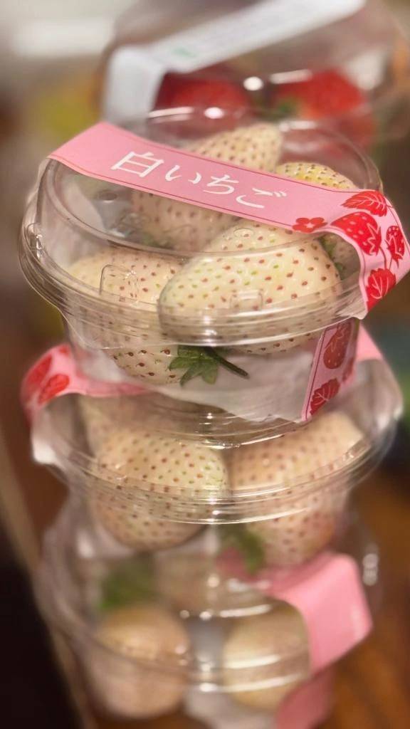 ゆうき(SOPHIA(ソフィア))