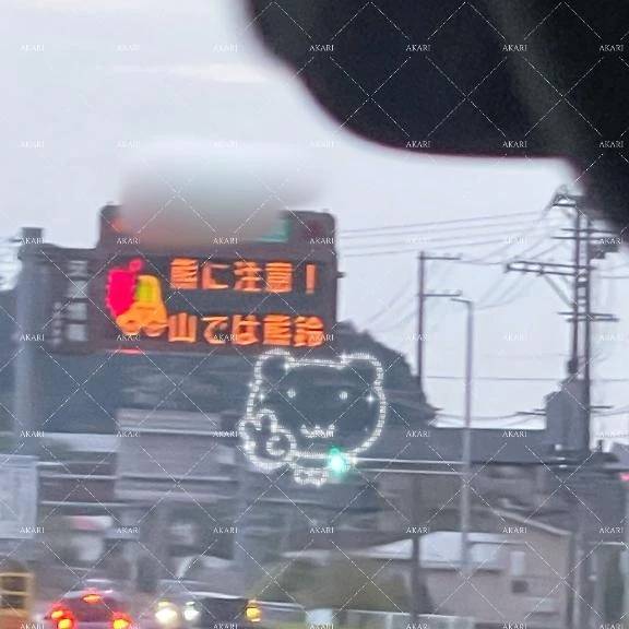 【日記】熊が出るよ！🐻