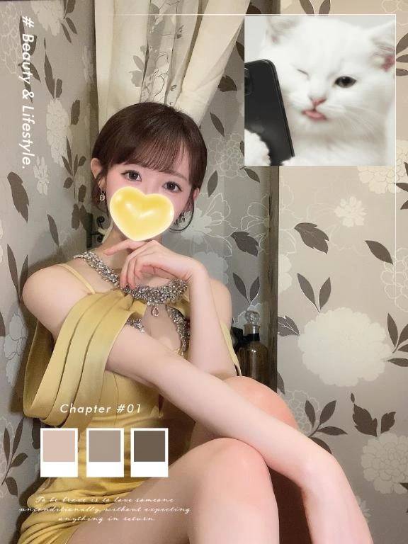 様々なDSKB