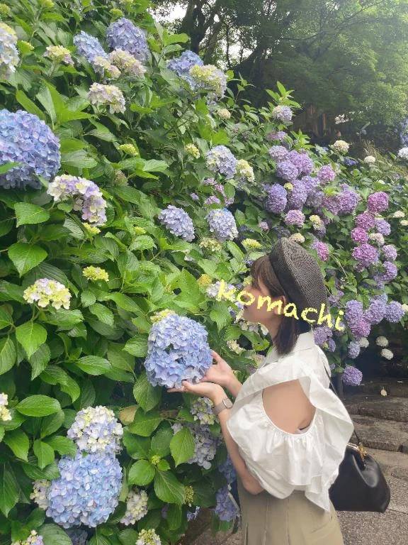 雨ニモマケズ
