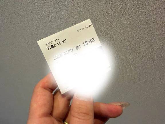 🌻変更！！