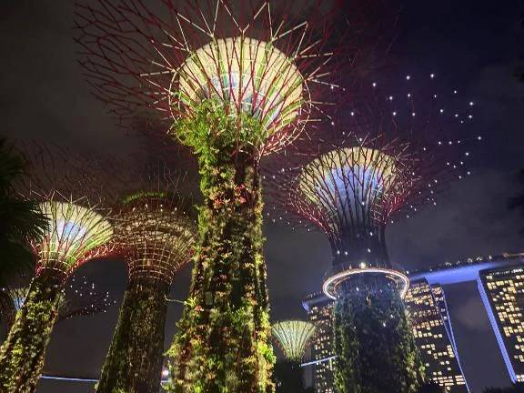 シンガポール🇸🇬